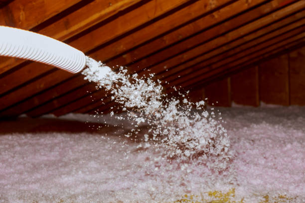 Best Blown-in Insulation in Princess Anne, MD