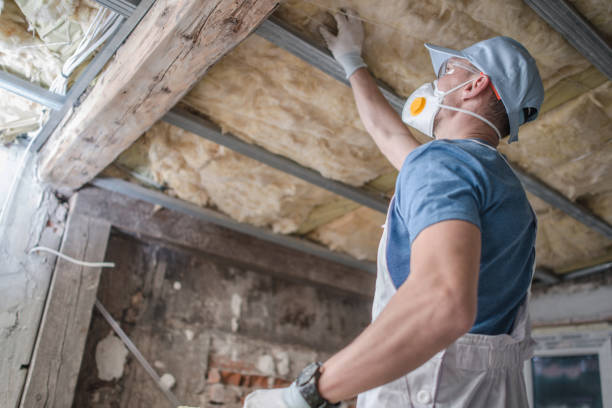 Best Insulation for Specific Applications in Princess Anne, MD