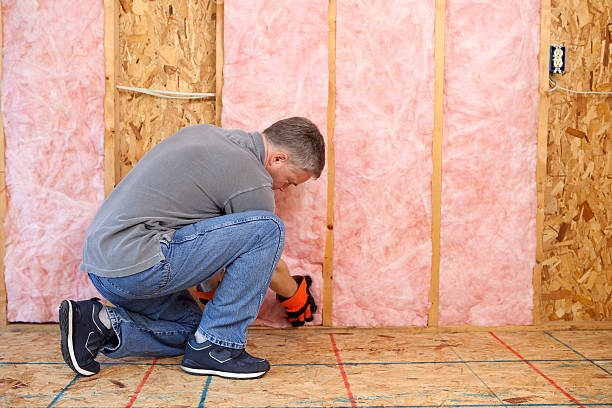 Best Specialized Insulation Services in Princess Anne, MD