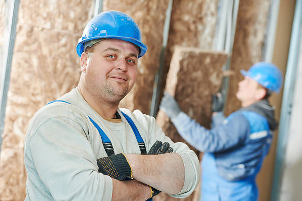 Best Spray Foam Insulation in Princess Anne, MD