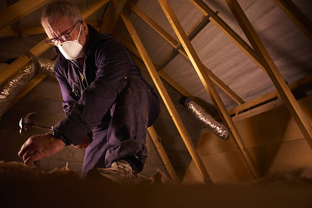 Best Insulation Maintenance and Repair in Princess Anne, MD